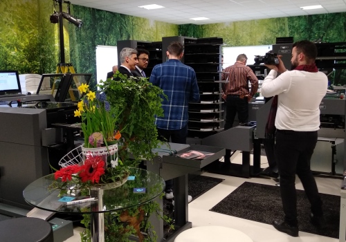 IMG_20190212_152005_500x350 (1)