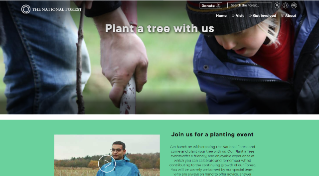 plant_a_tree_700x355