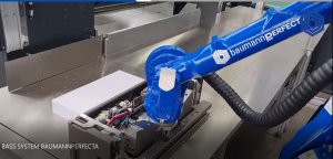 Sistema BASS Baumannperfecta
