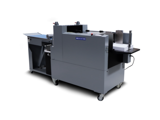PFIDICut310prin_