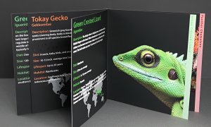 emg_muestra_revista_Duplo_Isaddle