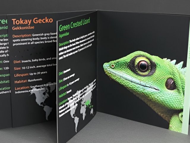 emg_muestra_revista_Duplo_Isaddle