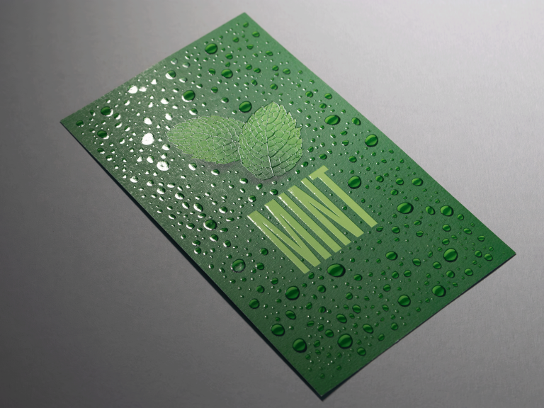 Aplicación embellecimiento de la impresión DuSense Flyer